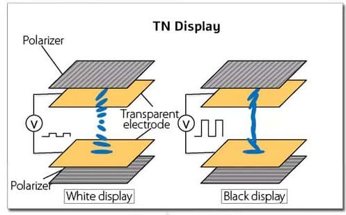 Twisted Nematic (TN) LCD Display Structure